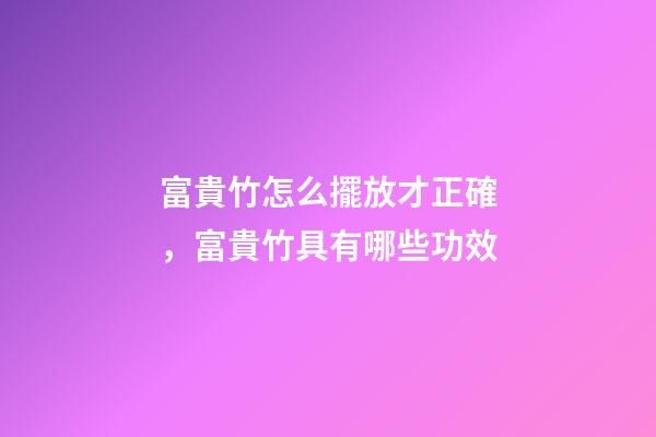 富貴竹怎么擺放才正確，富貴竹具有哪些功效
